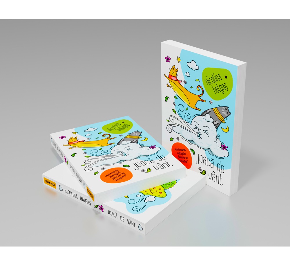 Joacă de vânt - imagine 3